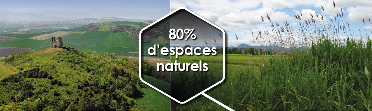 80% d'espaces naturels